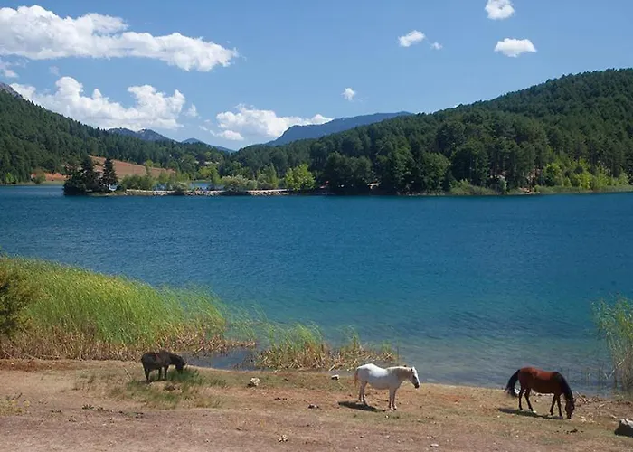 Onar Rustic Villa